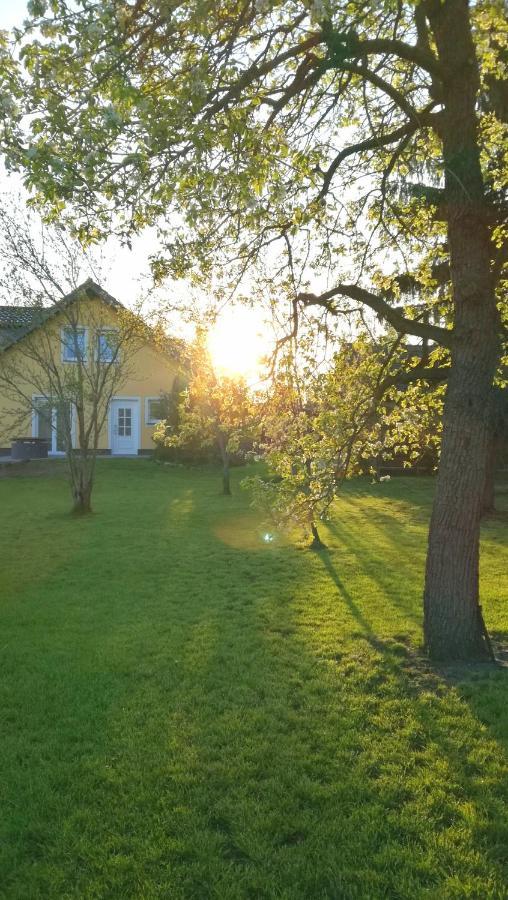 Ferienwohnung Luba Lipa Drachhausen Exterior foto